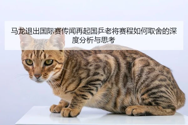 ma-long-tui-chu-guo-ji-sai-chuan-wen-zai-qi-guo-ping-lao-jiang-sai-cheng-ru-he-qu-she-de-shen-du-fen-xi-yu-si-kao-2-358.jpg