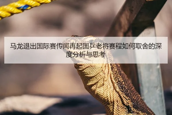 马龙退出国际赛传闻再起国乒老将赛程如何取舍的深度分析与思考